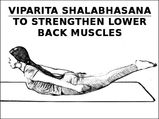 Viparita Shalabhasana To Strengthen Lower Back Muscles