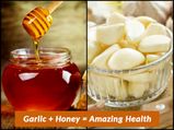 What Happens When You Drink Garlic Paste With Honey?