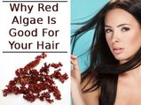 Why Red Algae Is Good For Your Hair?