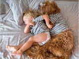 Friendship Between This Little Boy & His Dog Is Too Cute To Handle