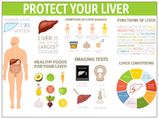 How To Improve Liver Function