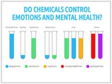How Chemicals Control Your Thoughts And Emotions
