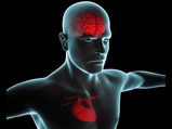 This Easy Home Remedy Can Prevent Heart & Brain Diseases