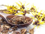 Benefits Of Using Witch Hazel In Your Skin Care Routine