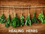10 Herbs That Heal 10 Health Issues