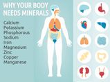 Why Your Body Needs Minerals