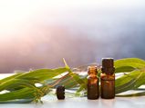 Top Health Benefits Of Eucalyptus Essential Oil
