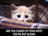 Are You Scared Of Your Wife? Read This!
