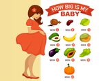 How Big Is Your Baby? The Size Of Your Baby During Various Stages Of Pregnancy