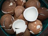 8 Health Benefits Of Dry Coconut
