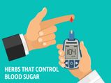 These Herbs Help Sugar Patients!