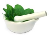 Beauty Benefits Of Using Basil For Skin