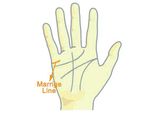 What Does Your Marriage Line On The Palm Signify