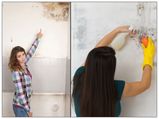 Health Effects Of Mold Exposure