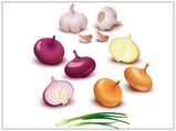 Do Onions And Garlic Prevent Cancer?