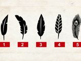 Choosing A Feather From Here Can Reveal Your Personality Traits