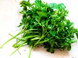 Best Ways To Use Parsley To Dissolve Kidney Stones