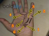 Do You Know The True Meaning Of These Special Lines In Palmistry?