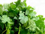 3 Best Ways To Apply And Use Coriander Leaves For Skin Care