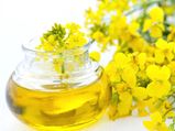 Canola Oil Can Harm Your Brain- Finds Study