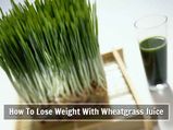 How Wheatgrass Juice Helps You To Lose Weight; Know The Preparation Method