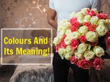 Hidden Meaning Of The Different Rose Colours