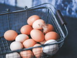 How Does Salmonella Bacteria Get Into Eggs