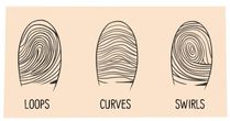 What Do Your Fingerprints Tell About Your Personality