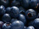 Amazing Health Benefits Of Bilberry