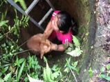 Dog Trapped In A Hole For 3 Days Cried Tears Of Joy When Rescuers Finally Freed Him