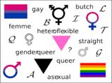 Lesbian, Bi, Trans: All About Sexual Orientation And Types