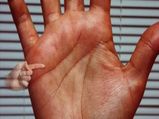 5 Things That Palmistry Reveals About You