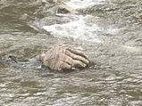 When A Hand-like Structure Appeared In Munnar After The Kerala Floods