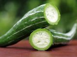 From Controlling Diabetes To Curing Fever, Here Are The Amazing Health Benefits Of Snake Gourd