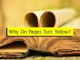 Have You Wondered Why Pages In A Book Turn Yellow Over Time?