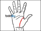 Things That You Need To Learn About With Regard To Life Line In Palmistry