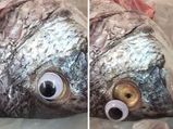 Video: See What This Shopkeeper Did To Make Fish Look Fresh!