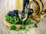 Wine 101: White Wine Vs Red Wine And Everything A Wine Enthusiast Should Know