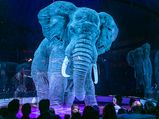 A Circus Uses 3D Hologram To Display Animal Stunts