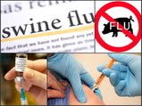 Swine Flu: Symptoms, Causes, Treatment & Prevention