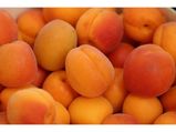 10 Fascinating Health Benefits Of Apricot, Nutrition And Recipes