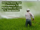 Did You Know That Exposure To Pesticides Can Lead To Depression?