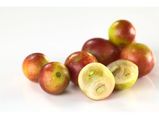 Lesser Known Health Benefits Of Camu Camu, Nutrition And Vegan Recipes
