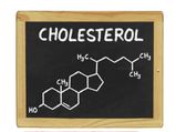 Everything You Need To Know About The Hypercholesterolemia (High Cholesterol Levels) Condition
