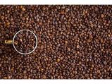 Are Coffee Beans Safe For Consumption? Science-backed Health Benefits And Risks