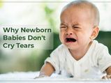 Why Don't Newborn Babies Cry Real Tears?