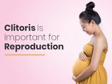 Not Just For Sexual Pleasure, But Clitoris Can Also Help Women Conceive