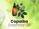 Copaiba Oil: Health Benefits, Risks And How To Use