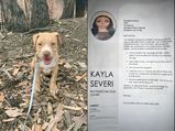 Get That Girl A Puppy: Teenager Writes A Professional CV, Convince Her Mom To Let Her Have A Doggo
