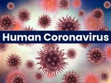 What Is Human Coronavirus? Causes, Symptoms, Treatment And Prevention